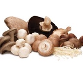 New Chapter Mushrooms products for supporting natural immunity.