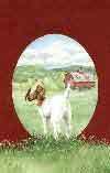 Health Food Emporium Country Tales  1 Paperback